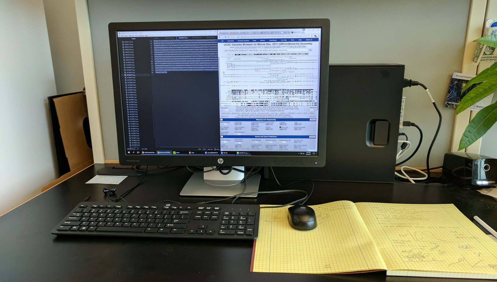 Workstation at work